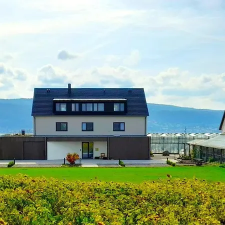 Bodensee Insel